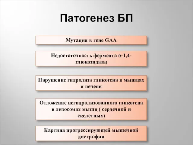 Патогенез БП Мутация в гене GAA Недостаточность фермента α-1,4-глюкозидазы Нарушение гидролиза