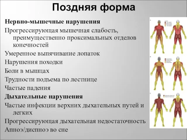 Поздняя форма Нервно-мышечные нарушения Прогрессирующая мышечная слабость, преимущественно проксимальных отделов конечностей