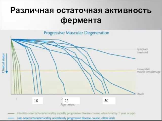 Различная остаточная активность фермента 10 25 50