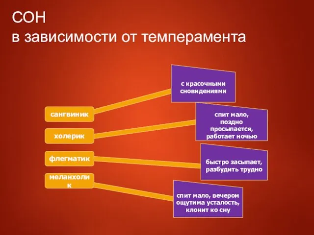 СОН в зависимости от темперамента сангвиник холерик флегматик меланхолик с красочными