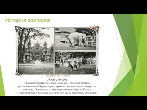 История зоопарка 21 мая 1896 года В бывшем концертном зале Восточно-Прусской