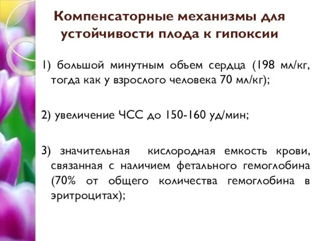 Компенсаторные механизмы для устойчивости плода к гипоксии 1) большой минутным объем