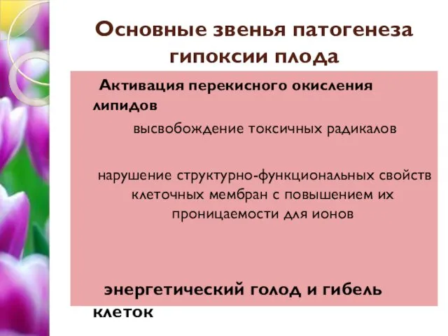 Основные звенья патогенеза гипоксии плода Активация перекисного окисления липидов высвобождение токсичных