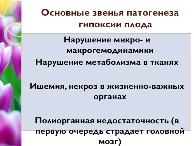 Основные звенья патогенеза гипоксии плода Нарушение микро- и макрогемодинамики Нарушение метаболизма