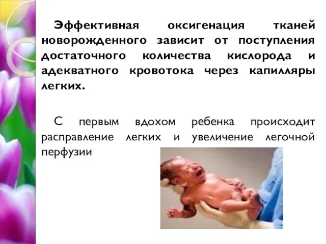 Эффективная оксигенация тканей новорожденного зависит от поступления достаточного количества кислорода и