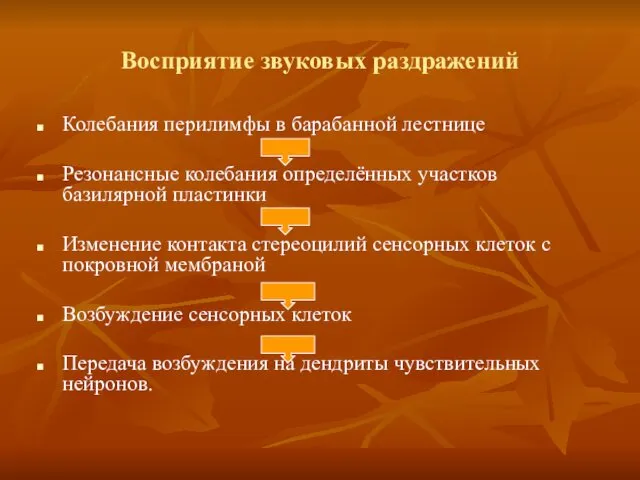 Восприятие звуковых раздражений Колебания перилимфы в барабанной лестнице Резонансные колебания определённых