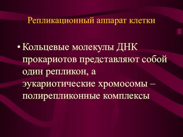 Репликационный аппарат клетки Кольцевые молекулы ДНК прокариотов представляют собой один репликон,