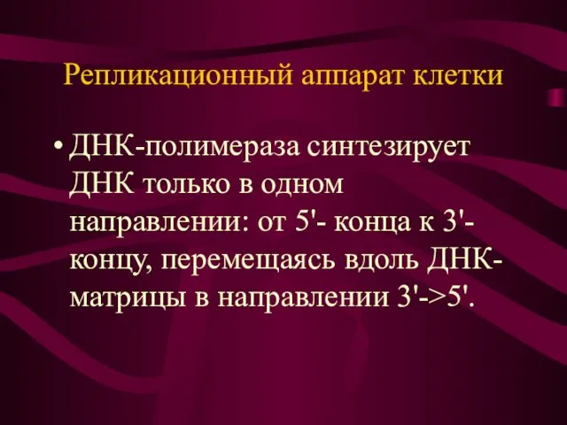 Репликационный аппарат клетки ДНК-полимераза синтезирует ДНК только в одном направлении: от