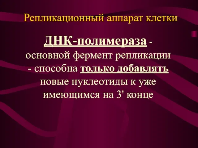 ДНК-полимераза - основной фермент репликации - способна только добавлять новые нуклеотиды