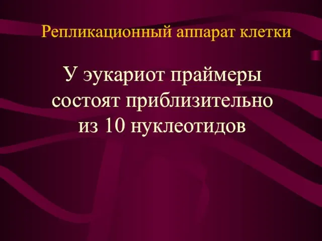 У эукариот праймеры состоят приблизительно из 10 нуклеотидов Репликационный аппарат клетки