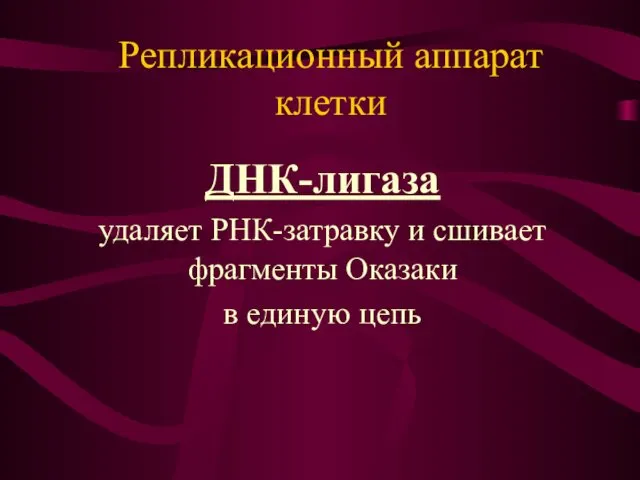 ДНК-лигаза удаляет РНК-затравку и сшивает фрагменты Оказаки в единую цепь Репликационный аппарат клетки