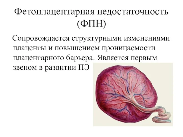 Фетоплацентарная недостаточность (ФПН) Сопровождается структурными изменениями плаценты и повышением проницаемости плацентарного