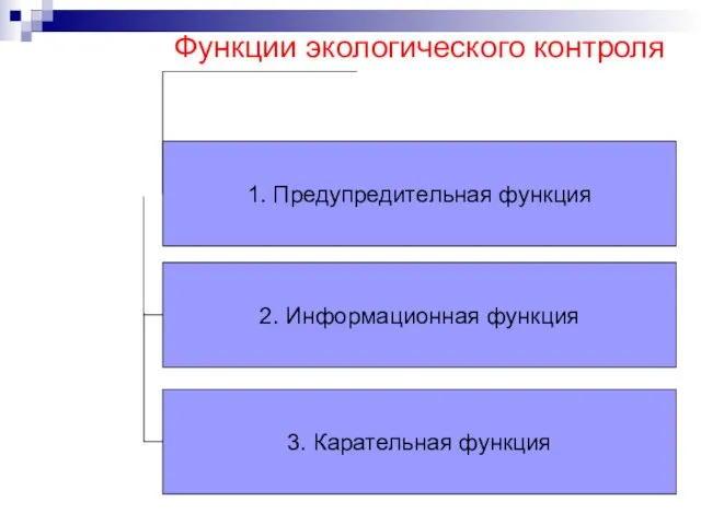 Функции экологического контроля 1. Предупредительная функция 2. Информационная функция 3. Карательная функция