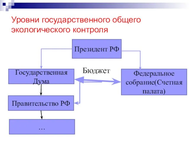 Уровни государственного общего экологического контроля Государственная Дума Президент РФ Федеральное собрание(Счетная палата) Правительство РФ … Бюджет