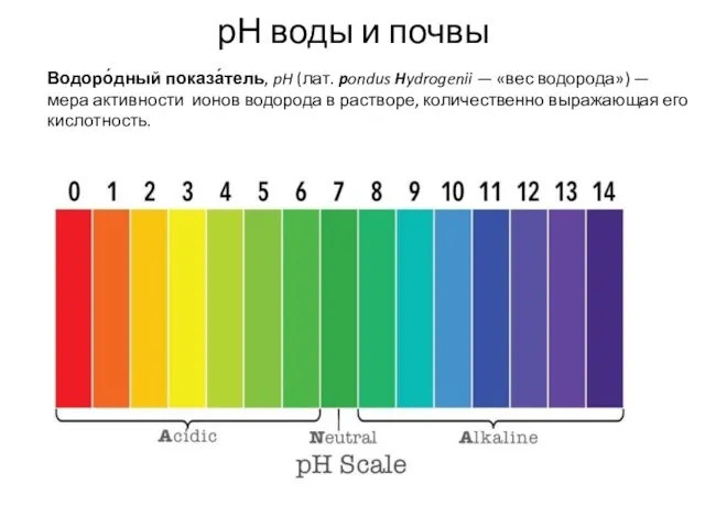 рН воды и почвы Водоро́дный показа́тель, pH (лат. pondus Hydrogenii —