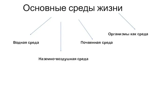 Основные среды жизни Водная среда Наземно‑воздушная среда Почвенная среда Организмы как среда