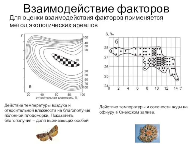 Взаимодействие факторов Для оценки взаимодействия факторов применяется метод экологических ареалов Действие