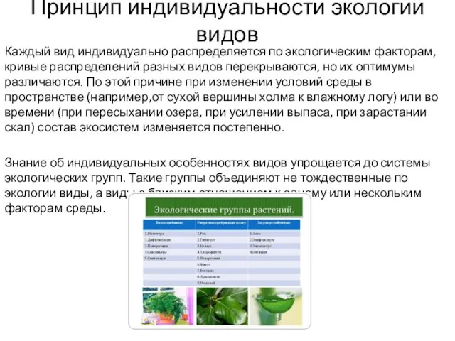 Принцип индивидуальности экологии видов Каждый вид индивидуально распределяется по экологическим факторам,