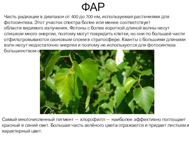 ФАР Часть радиации в диапазон от 400 до 700 нм, используемая