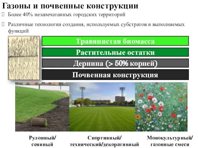 Газоны и почвенные конструкции Травянистая биомасса Растительные остатки Дернина (> 50%