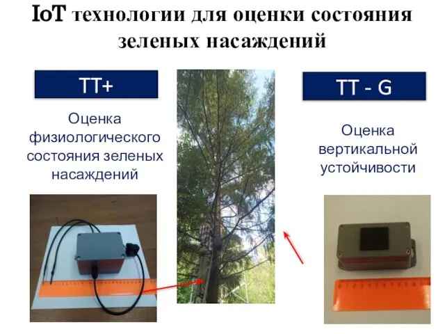 IoT технологии для оценки состояния зеленых насаждений TT+ TT - G