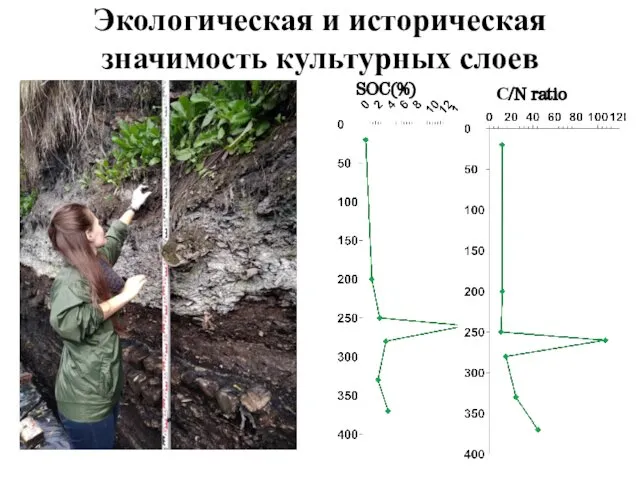 Экологическая и историческая значимость культурных слоев SOC(%) С/N ratio