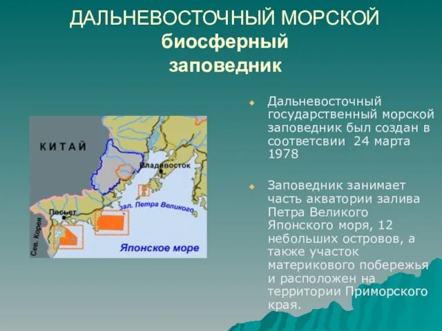 ДАЛЬНЕВОСТОЧНЫЙ МОРСКОЙ биосферный заповедник Дальневосточный государственный морской заповедник был создан в