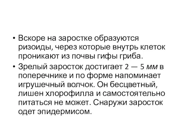 Вскоре на заростке образуются ризоиды, через которые внутрь клеток проникают из