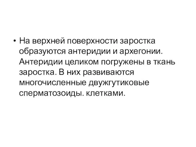 На верхней поверхности заростка образуются антеридии и архегонии. Антеридии целиком погружены