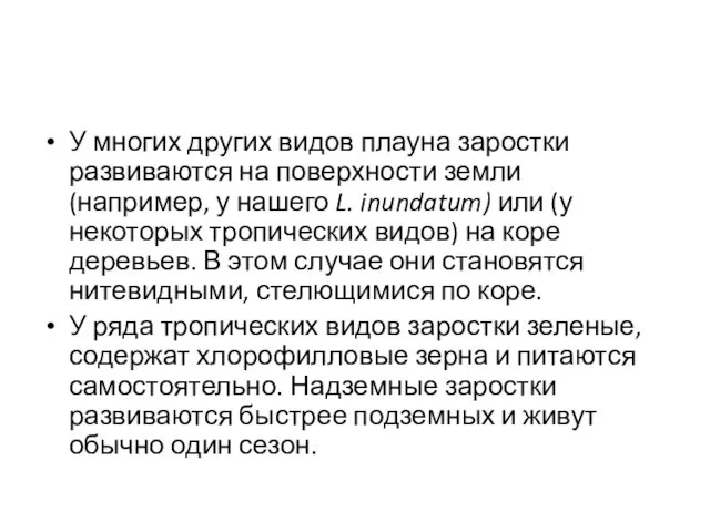 У многих других видов плауна заростки развиваются на поверхности земли (например,