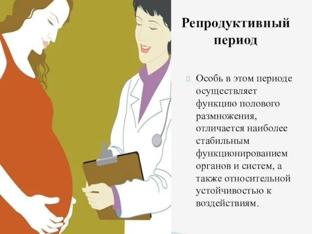 Особь в этом периоде осуществляет функцию полового размножения, отличается наиболее стабильным