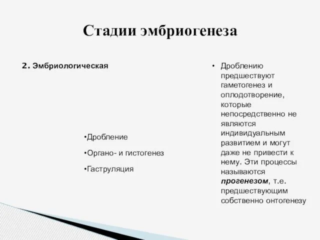 Дробление Органо- и гистогенез Гаструляция Стадии эмбриогенеза 2. Эмбриологическая Дроблению предшествуют