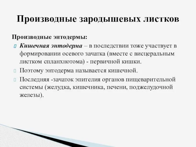 Производные энтодермы: Кишечная энтодерма – в последствии тоже участвует в формировании