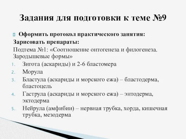 Оформить протокол практического занятия: Зарисовать препараты: Подтема №1: «Соотношение онтогенеза и