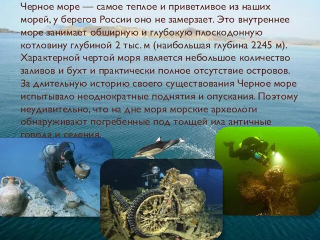 Черное море — самое теплое и приветливое из наших морей, у