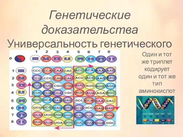 Генетические доказательства Универсальность генетического кода Один и тот же триплет кодирует