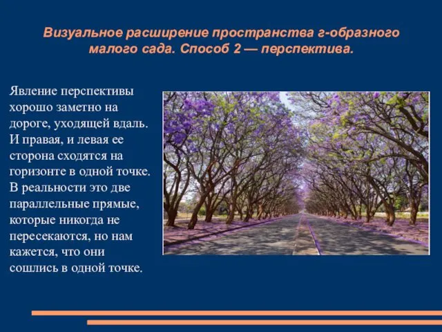 Визуальное расширение пространства г-образного малого сада. Способ 2 — перспектива. Явление