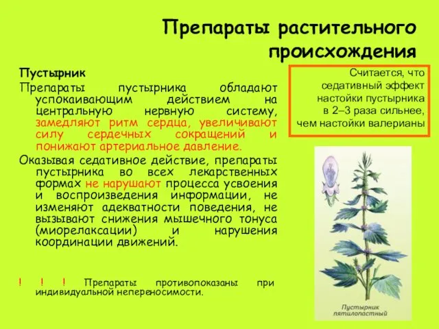 Препараты растительного происхождения Пустырник Препараты пустырника обладают успокаивающим действием на центральную