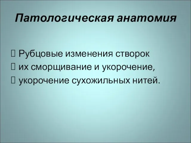 Патологическая анатомия Рубцовые изменения створок их сморщивание и укорочение, укорочение сухожильных нитей.