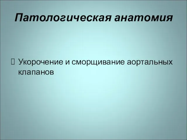 Патологическая анатомия Укорочение и сморщивание аортальных клапанов