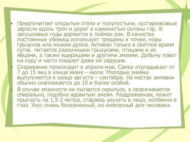 Предпочитает открытые степи и полупустыни, кустарниковые заросли вдоль троп и дорог