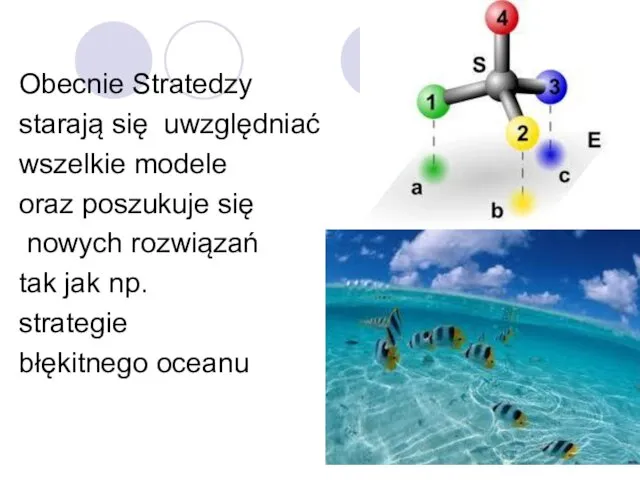 Obecnie Stratedzy starają się uwzględniać wszelkie modele oraz poszukuje się nowych