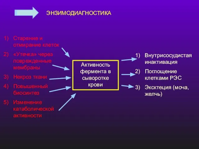 ЭНЗИМОДИАГНОСТИКА Активность фермента в сыворотке крови Старение и отмирание клеток «Утечка»