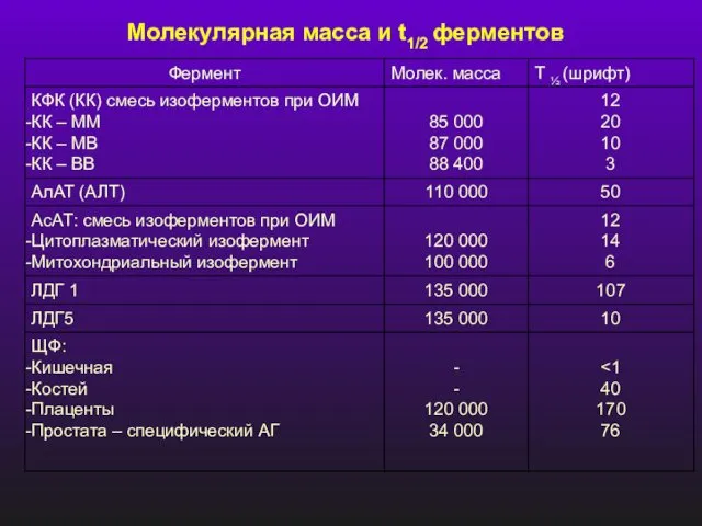 Молекулярная масса и t1/2 ферментов