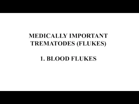 MEDICALLY IMPORTANT TREMATODES (FLUKES) 1. BLOOD FLUKES