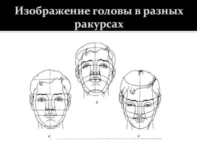 Изображение головы в разных ракурсах