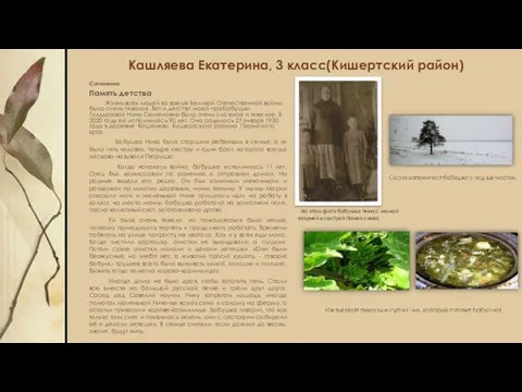 Кашляева Екатерина, 3 класс(Кишертский район) Сочинение Память детства Жизнь всех людей