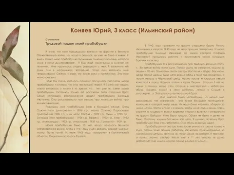 Коняев Юрий, 3 класс (Ильинский район) Сочинение Трудовой подвиг моей прабабушки