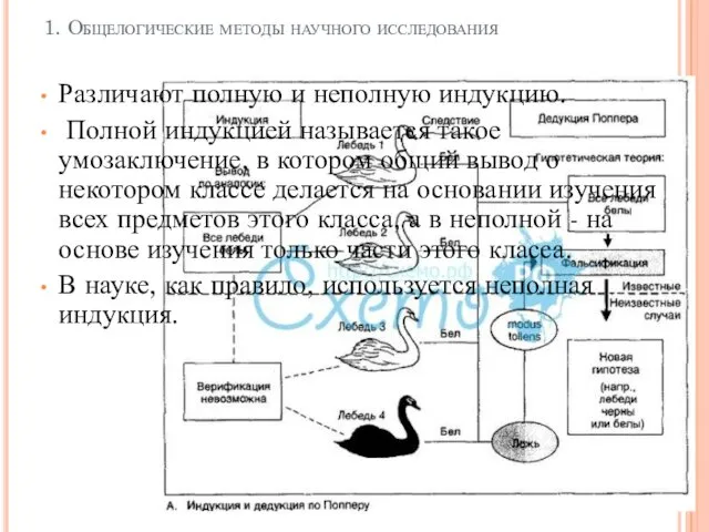 1. Общелогические методы научного исследования Различают полную и неполную индукцию. Полной