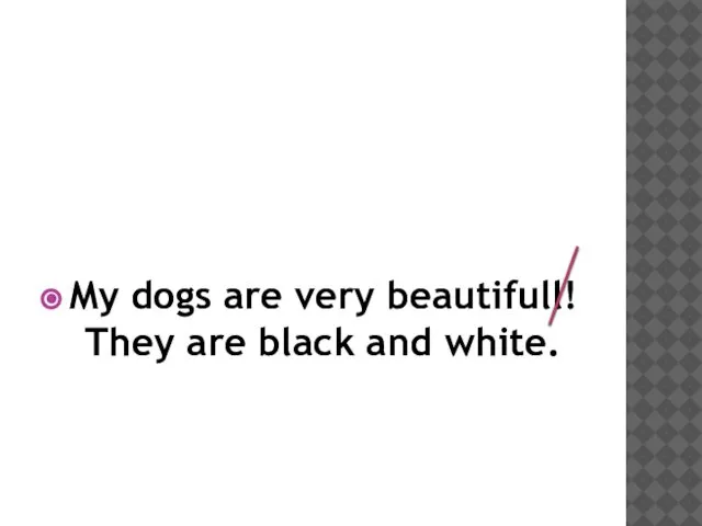 My dogs are very beautifull! They are black and white.